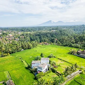 maple-ridge-ubud-villas.ubudhotelsnow.com/